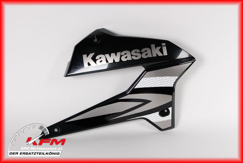 Product main image Kawasaki Item no. 4913151356C