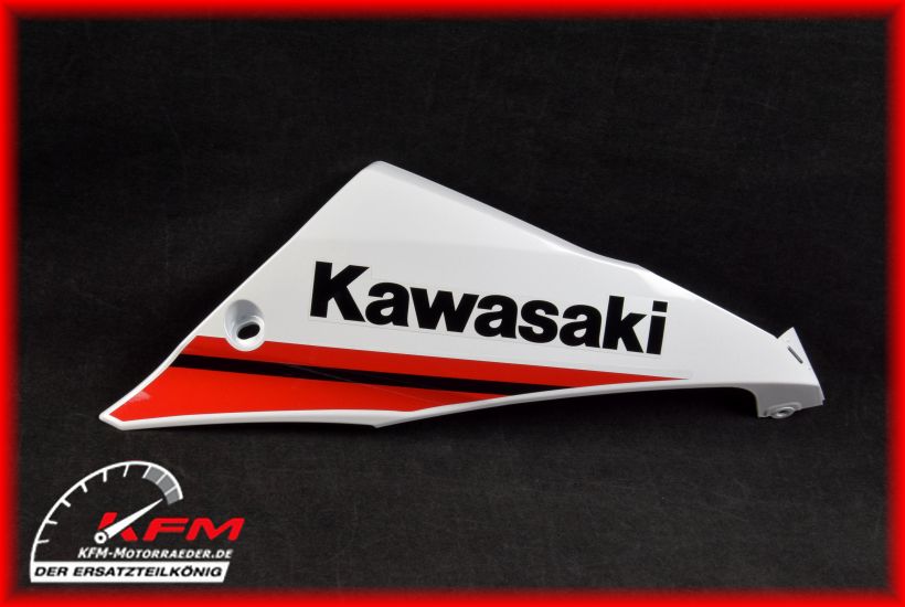 Product main image Kawasaki Item no. 55059527254X