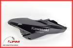 Kawasaki 55054521515Z