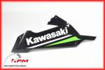 Kawasaki 550565071H8